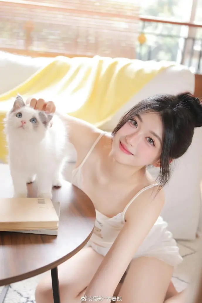 孢子游戏进化过程